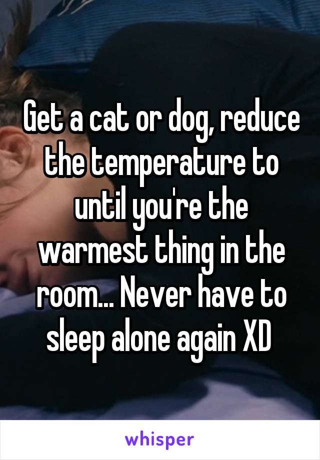 Get a cat or dog, reduce the temperature to until you're the warmest thing in the room... Never have to sleep alone again XD 