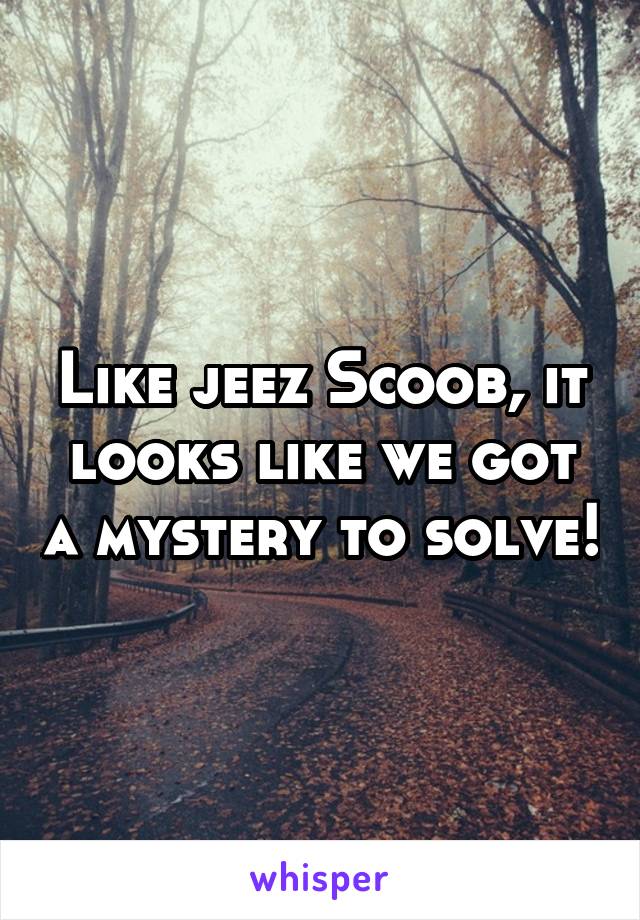 Like jeez Scoob, it looks like we got a mystery to solve!