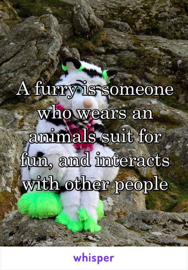 A furry is someone who wears an animals suit for fun, and interacts with other people