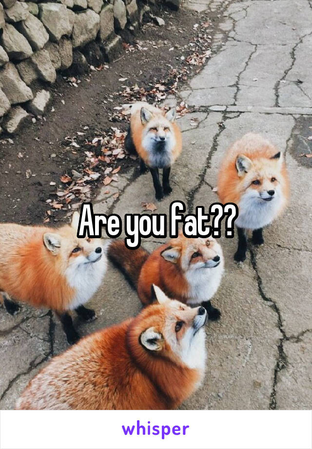 Are you fat??