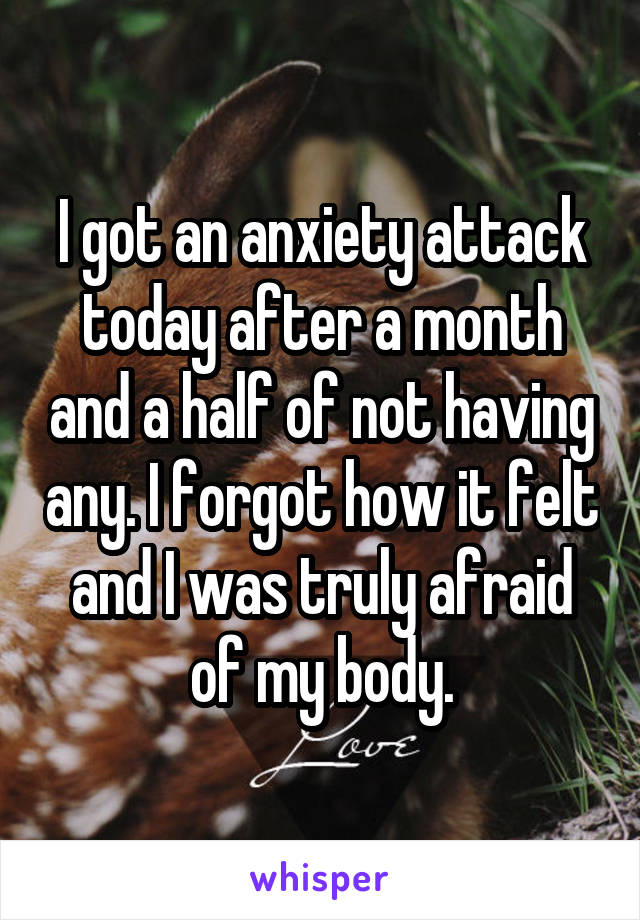 I got an anxiety attack today after a month and a half of not having any. I forgot how it felt and I was truly afraid of my body.