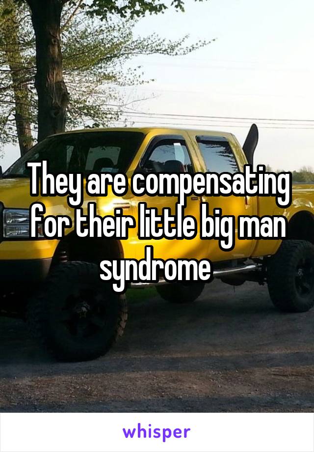 They are compensating for their little big man syndrome 