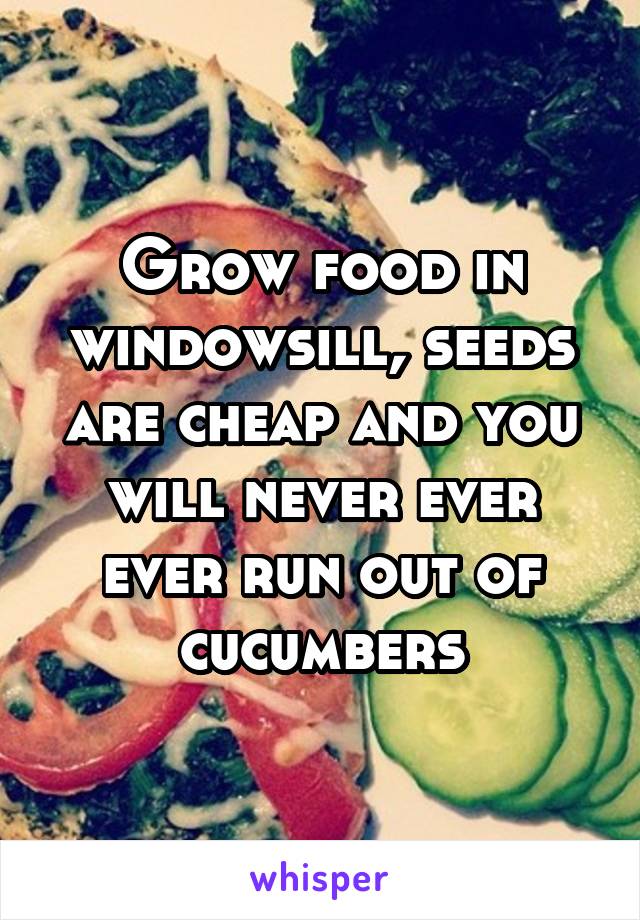 Grow food in windowsill, seeds are cheap and you will never ever ever run out of cucumbers