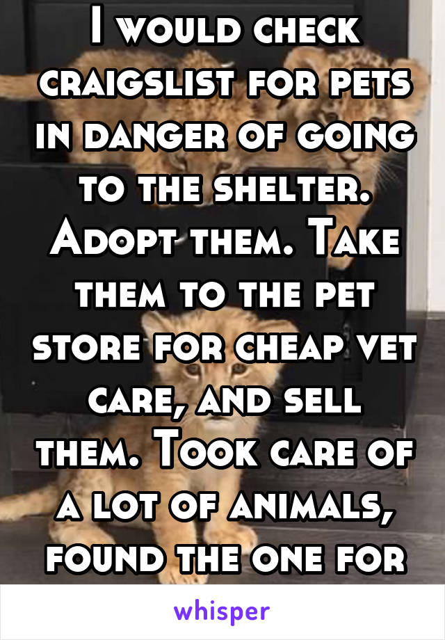 I would check craigslist for pets in danger of going to the shelter. Adopt them. Take them to the pet store for cheap vet care, and sell them. Took care of a lot of animals, found the one for me