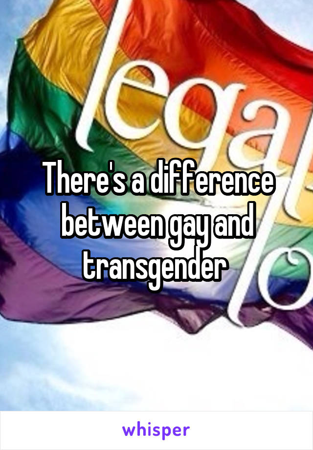 There's a difference between gay and transgender 