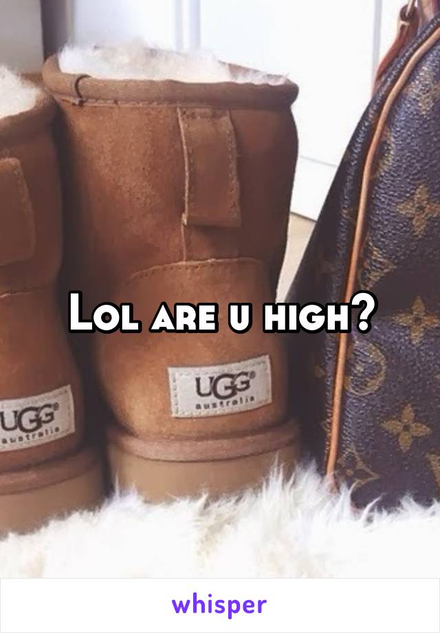 Lol are u high?