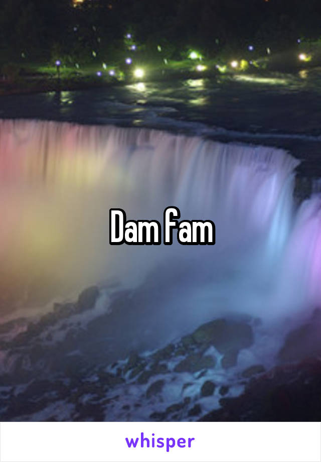 Dam fam