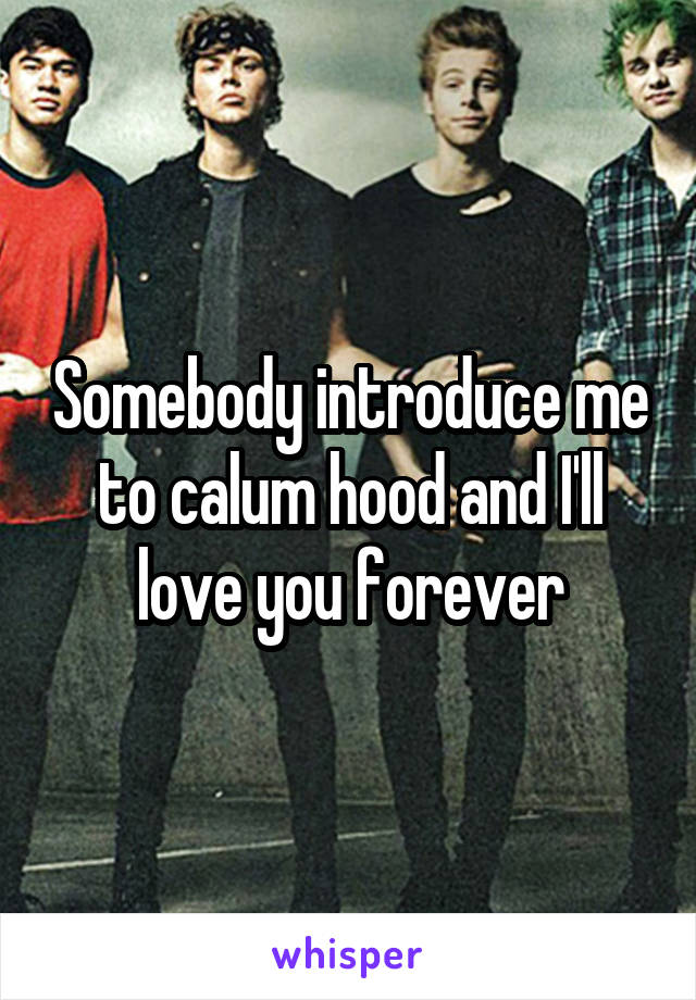 Somebody introduce me to calum hood and I'll love you forever