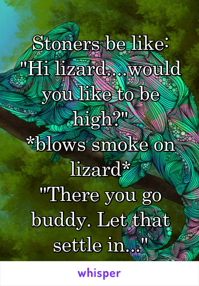 Stoners be like:
"Hi lizard....would you like to be high?"
*blows smoke on lizard*
"There you go buddy. Let that settle in..."