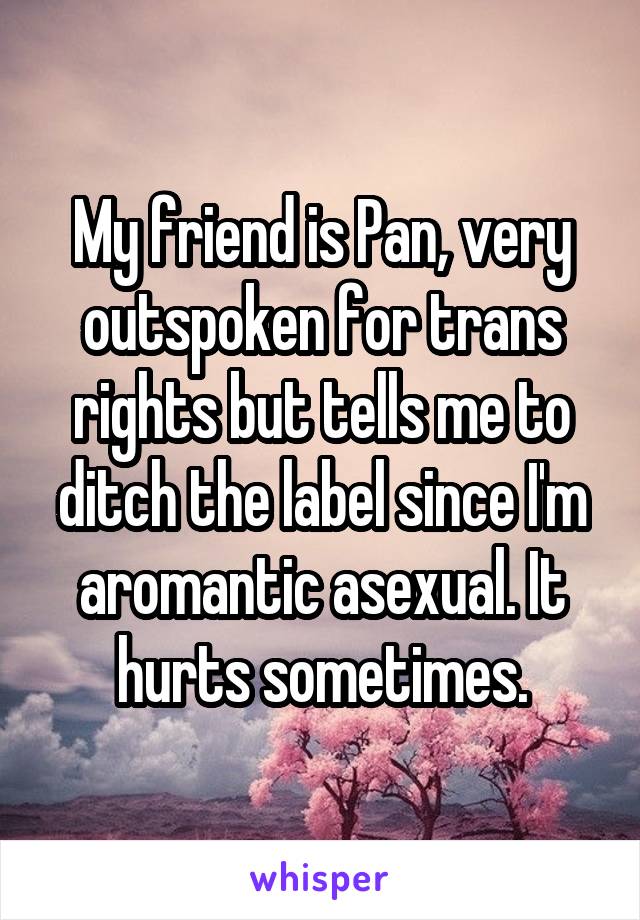 My friend is Pan, very outspoken for trans rights but tells me to ditch the label since I'm aromantic asexual. It hurts sometimes.
