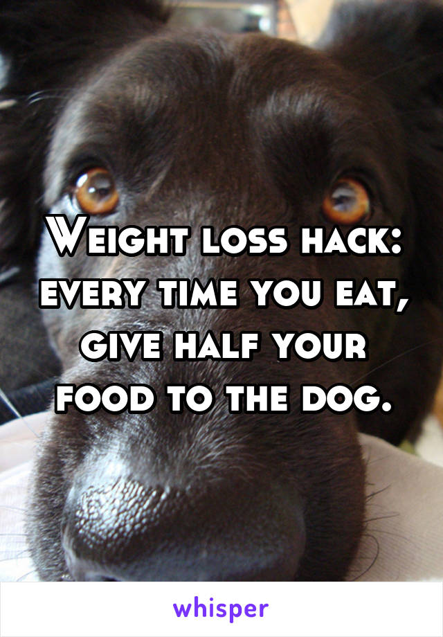 Weight loss hack: every time you eat, give half your food to the dog.