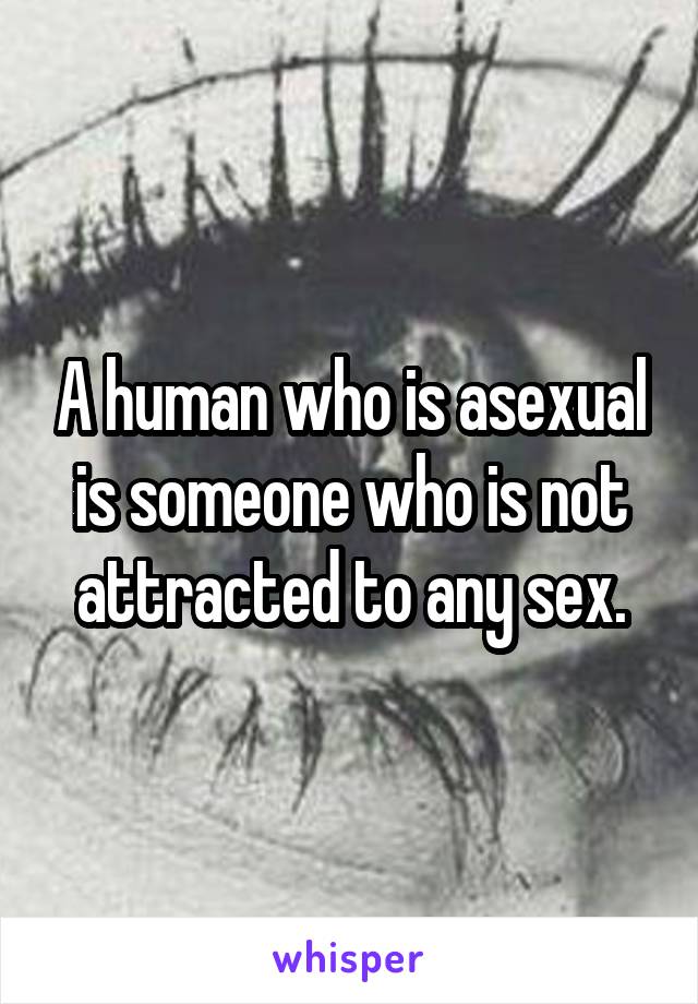 A human who is asexual is someone who is not attracted to any sex.