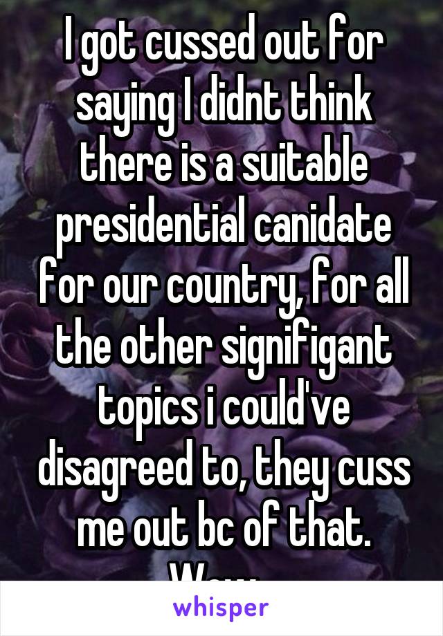 I got cussed out for saying I didnt think there is a suitable presidential canidate for our country, for all the other signifigant topics i could've disagreed to, they cuss me out bc of that. Wow...