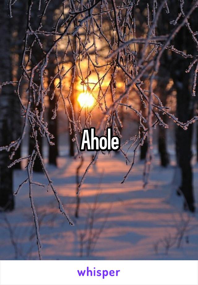 Ahole