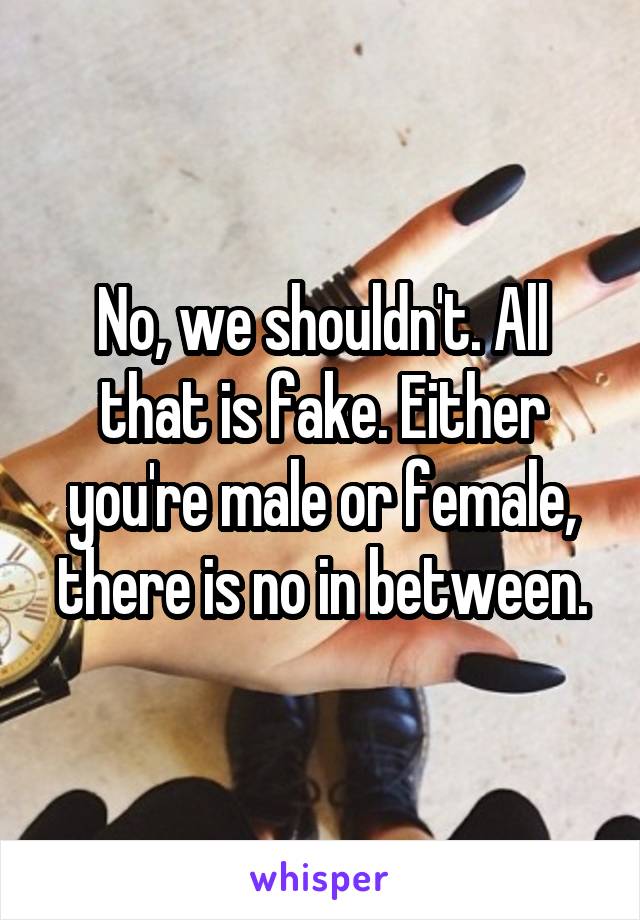 No, we shouldn't. All that is fake. Either you're male or female, there is no in between.
