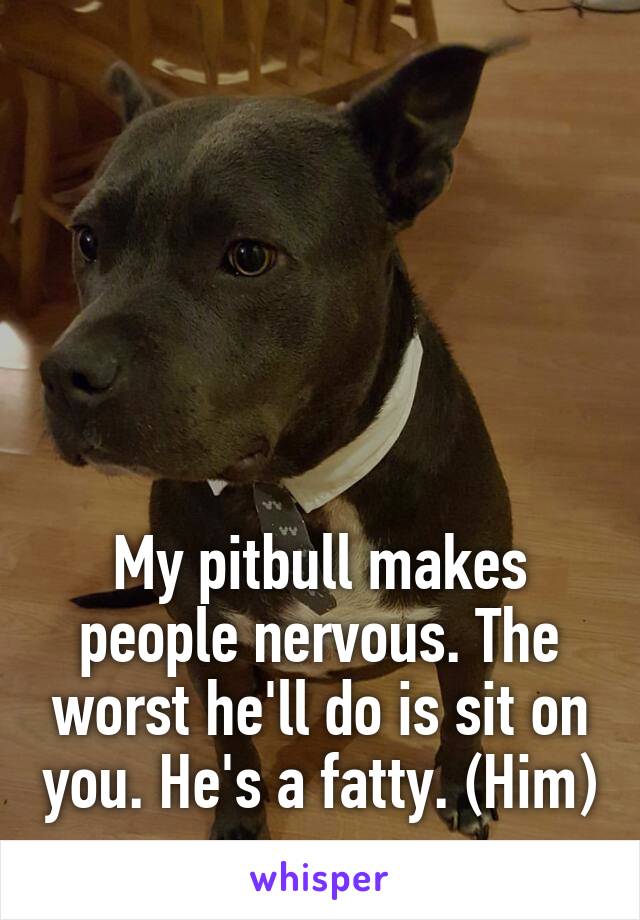 





My pitbull makes people nervous. The worst he'll do is sit on you. He's a fatty. (Him)