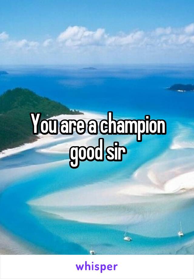 You are a champion good sir
