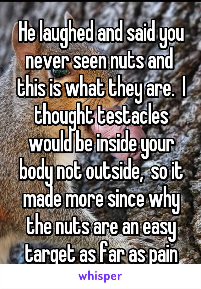 He laughed and said you never seen nuts and  this is what they are.  I thought testacles would be inside your body not outside,  so it made more since why the nuts are an easy target as far as pain