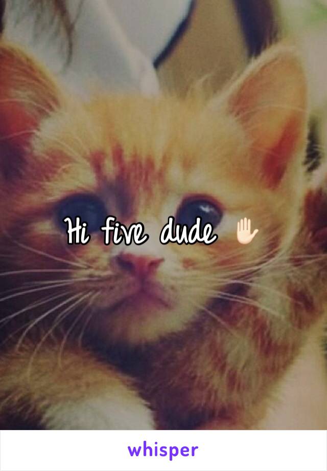 Hi five dude ✋🏻