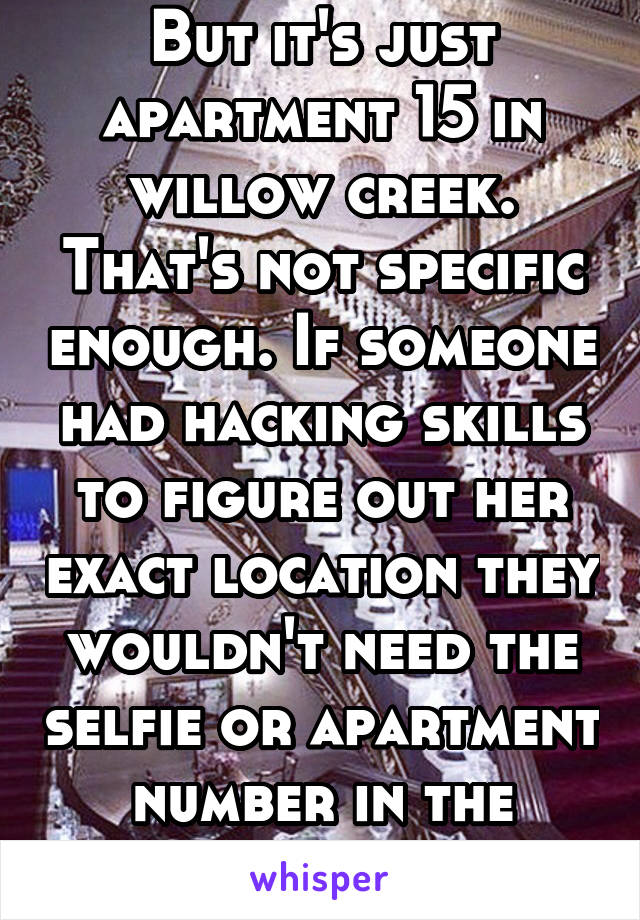 But it's just apartment 15 in willow creek. That's not specific enough. If someone had hacking skills to figure out her exact location they wouldn't need the selfie or apartment number in the picture