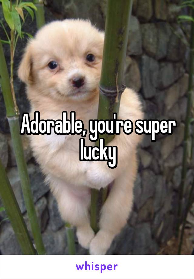 Adorable, you're super lucky