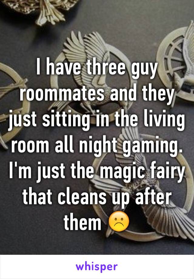 I have three guy roommates and they just sitting in the living room all night gaming. 
I'm just the magic fairy that cleans up after them ☹️