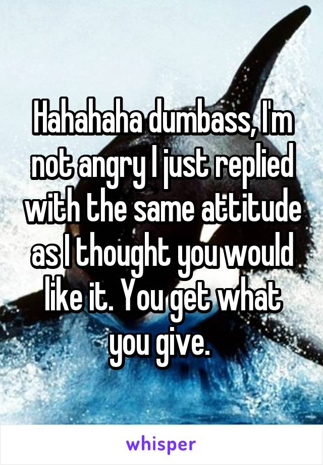 Hahahaha dumbass, I'm not angry I just replied with the same attitude as I thought you would like it. You get what you give. 