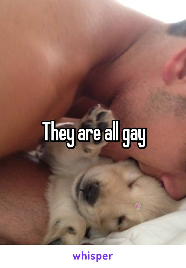 They are all gay