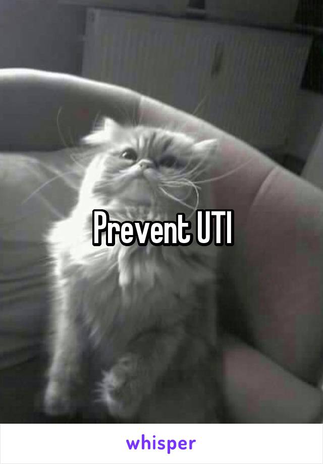 Prevent UTI