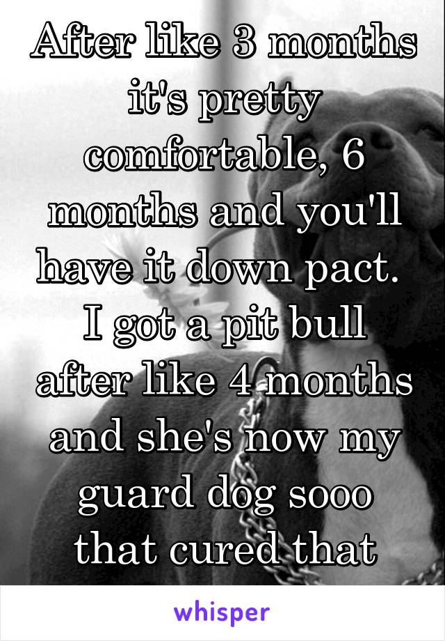 After like 3 months it's pretty comfortable, 6 months and you'll have it down pact. 
I got a pit bull after like 4 months and she's now my guard dog sooo that cured that hahaa 