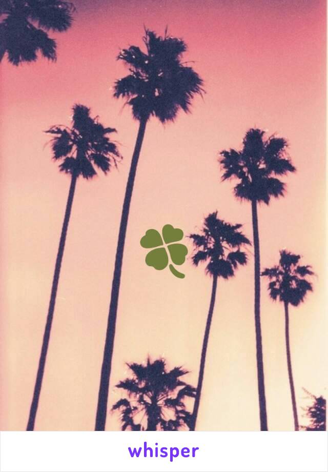 🍀