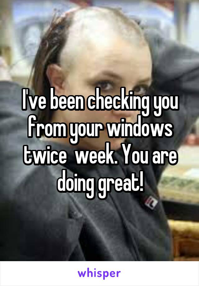 I've been checking you from your windows twice  week. You are doing great!