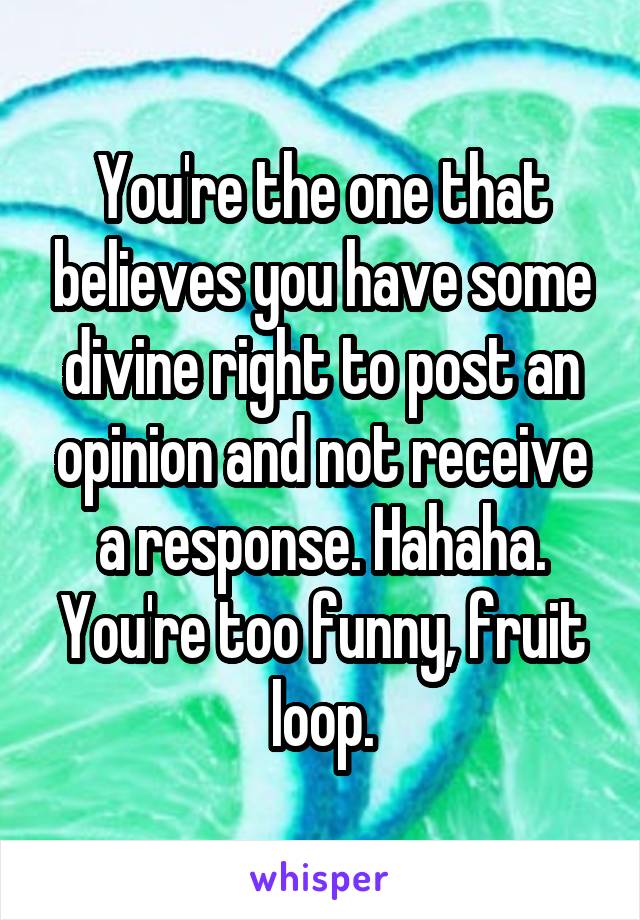 You're the one that believes you have some divine right to post an opinion and not receive a response. Hahaha. You're too funny, fruit loop.