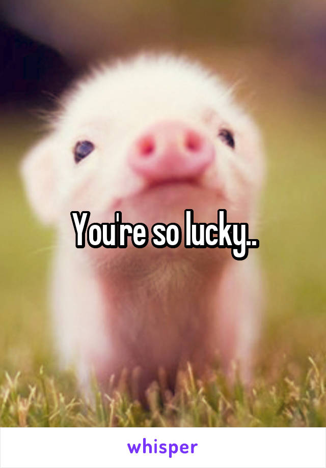 You're so lucky..