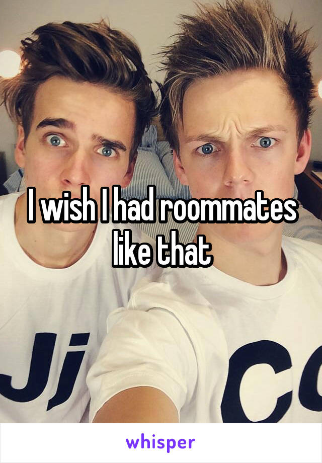 I wish I had roommates like that