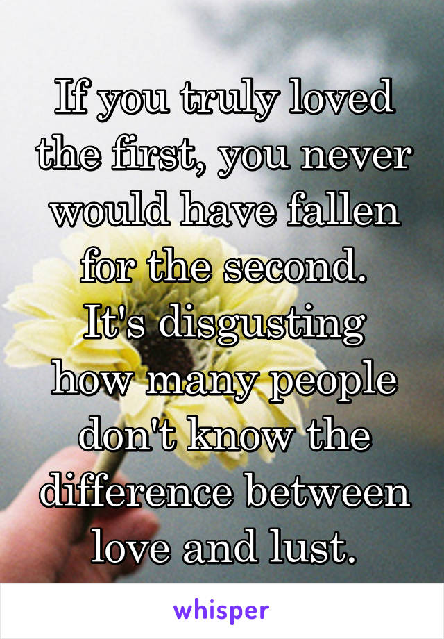 If you truly loved the first, you never would have fallen for the second.
It's disgusting how many people don't know the difference between love and lust.