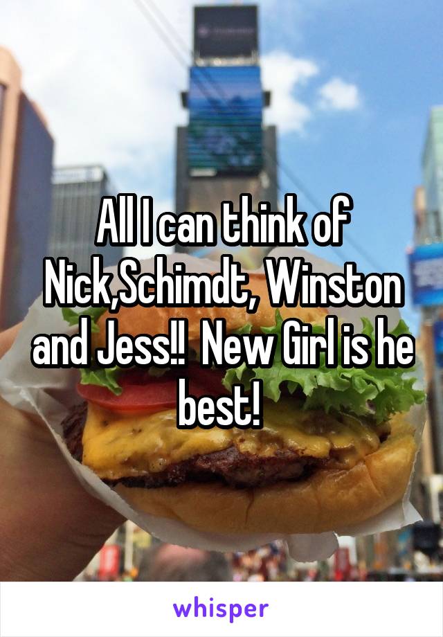 All I can think of Nick,Schimdt, Winston and Jess!!  New Girl is he best! 