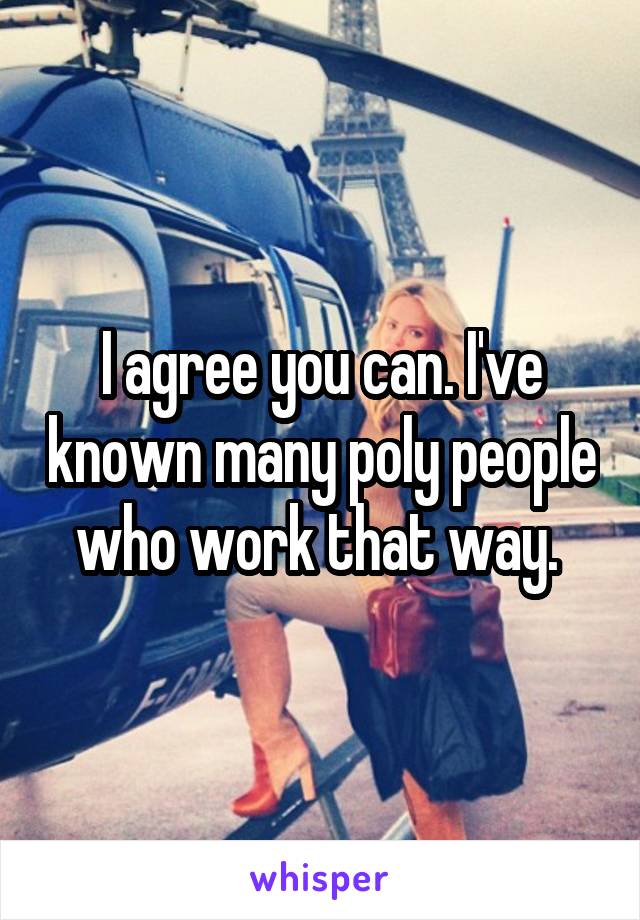 I agree you can. I've known many poly people who work that way. 