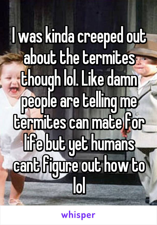 I was kinda creeped out about the termites though lol. Like damn people are telling me termites can mate for life but yet humans cant figure out how to lol