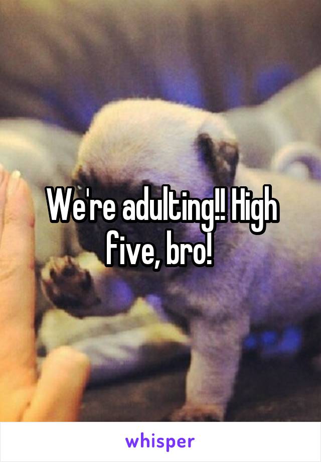 We're adulting!! High five, bro! 