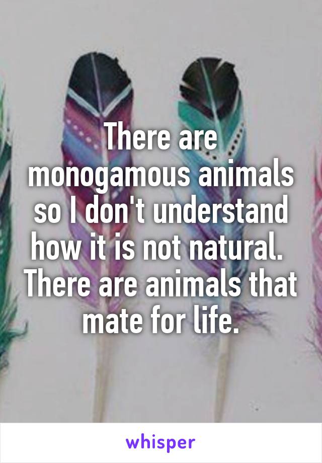 There are monogamous animals so I don't understand how it is not natural.  There are animals that mate for life.