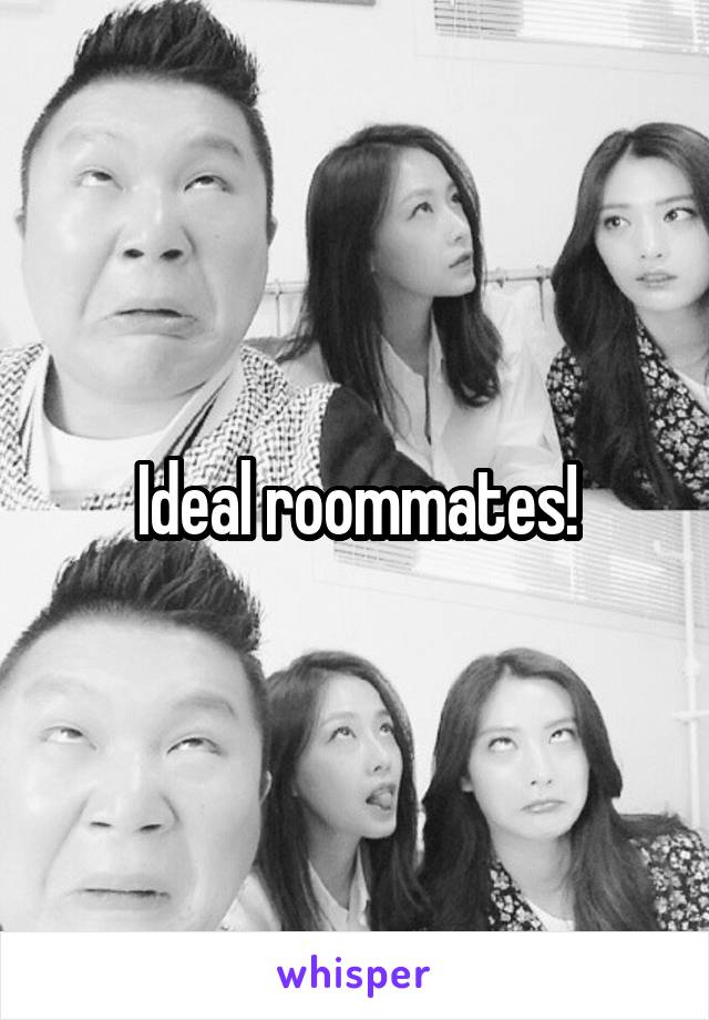 Ideal roommates!