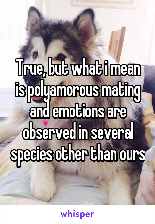 True, but what i mean is polyamorous mating and emotions are observed in several species other than ours