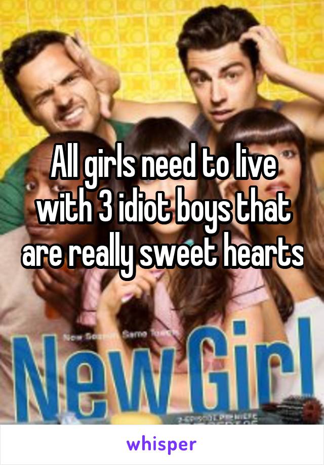 All girls need to live with 3 idiot boys that are really sweet hearts 