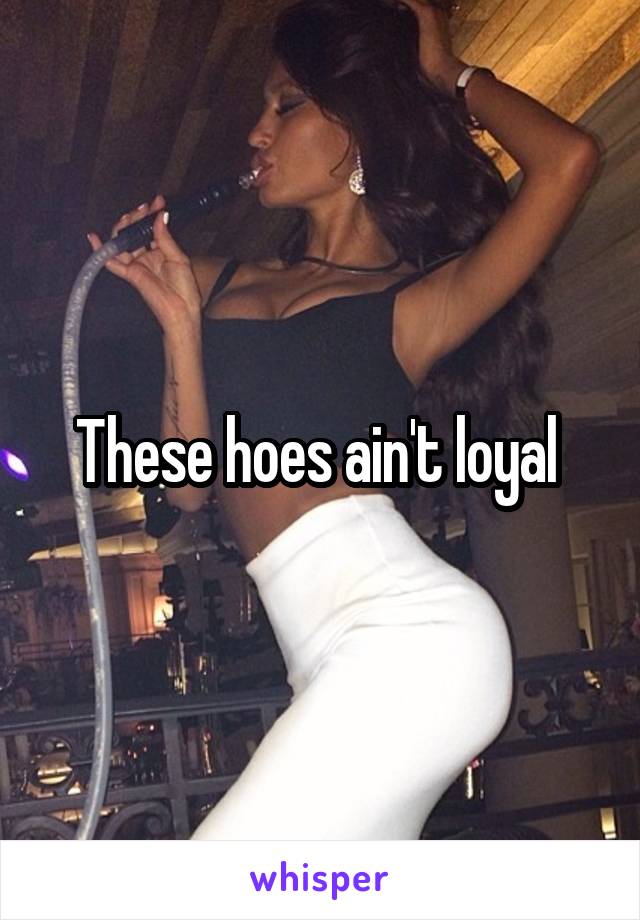 These hoes ain't loyal 