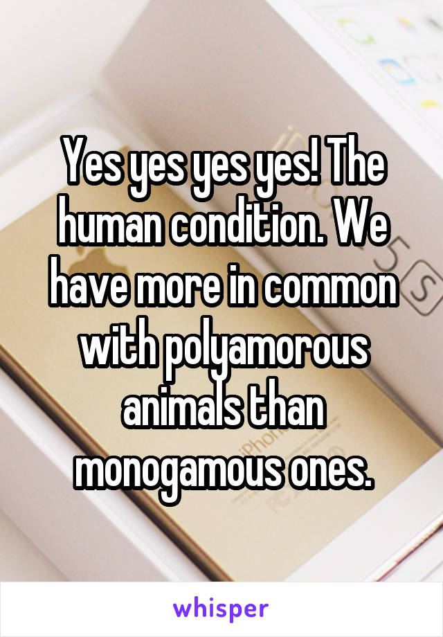 Yes yes yes yes! The human condition. We have more in common with polyamorous animals than monogamous ones.