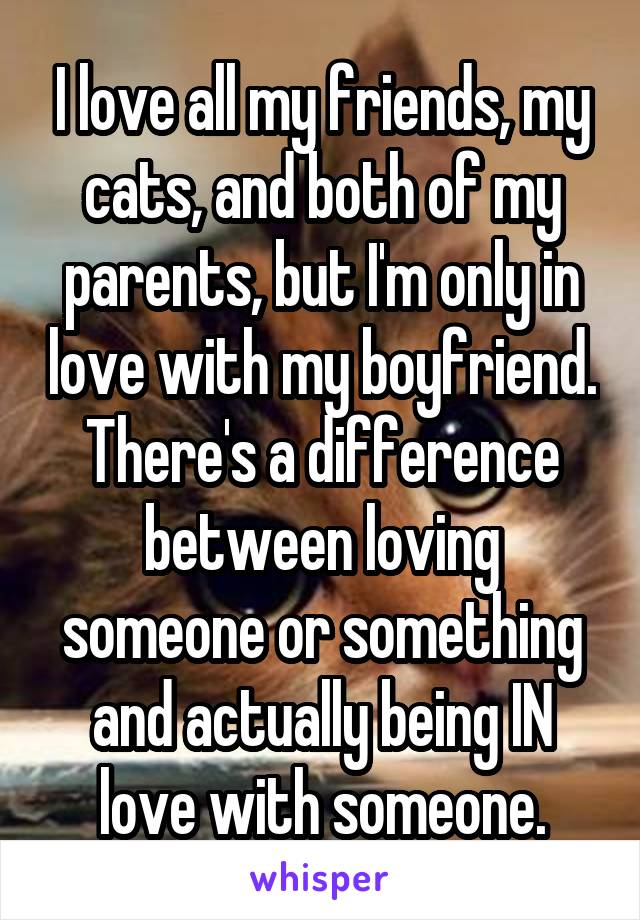 I love all my friends, my cats, and both of my parents, but I'm only in love with my boyfriend. There's a difference between loving someone or something and actually being IN love with someone.