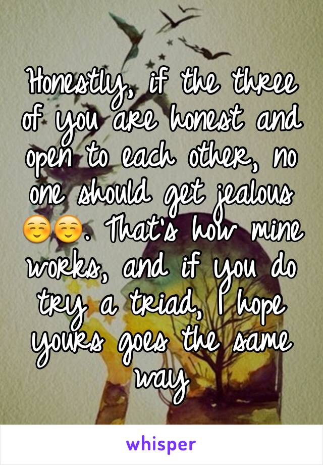 Honestly, if the three of you are honest and open to each other, no one should get jealous ☺️☺️. That's how mine works, and if you do try a triad, I hope yours goes the same way