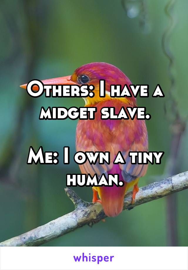 Others: I have a midget slave.

Me: I own a tiny human.