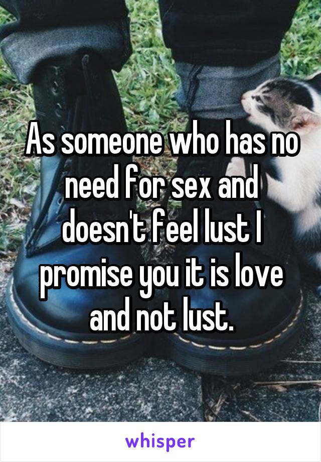 As someone who has no need for sex and doesn't feel lust I promise you it is love and not lust.